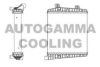AUTOGAMMA 105682 Radiator, engine cooling